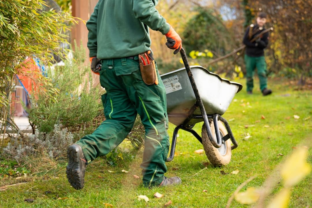 Travaux d'extérieur