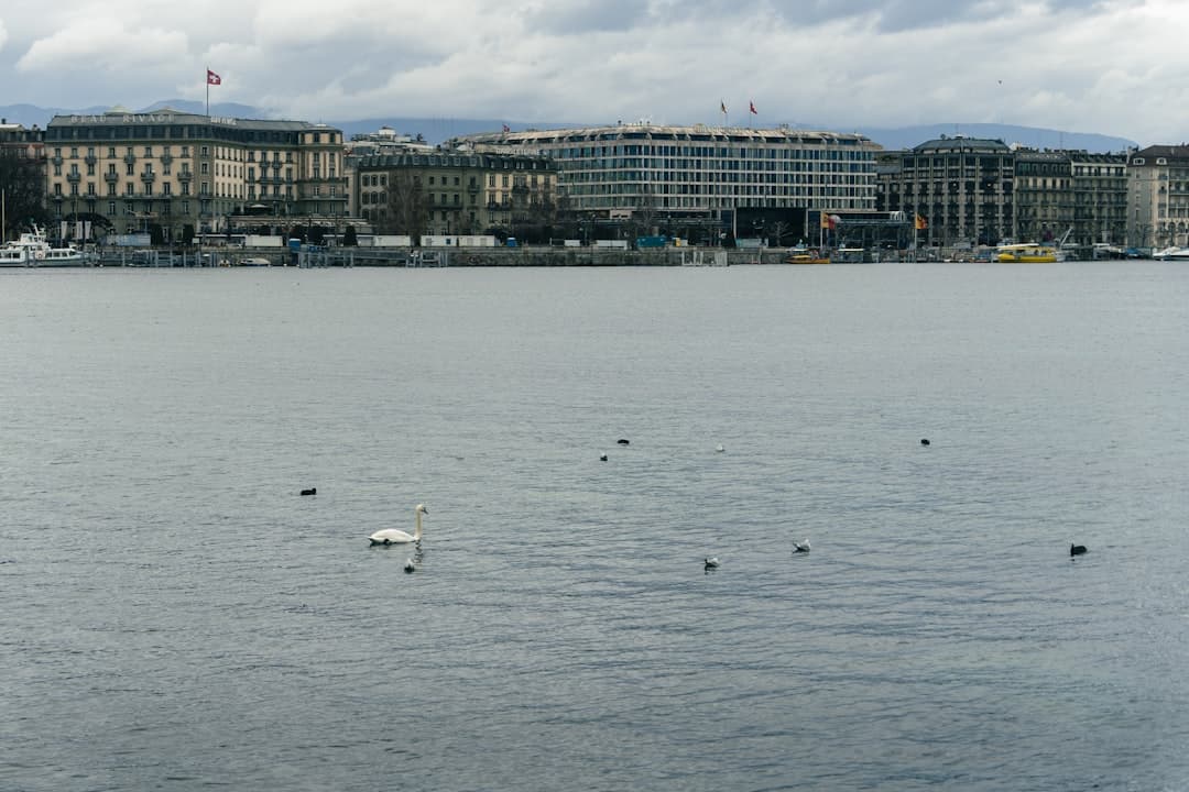 Déménagement local (Genève)