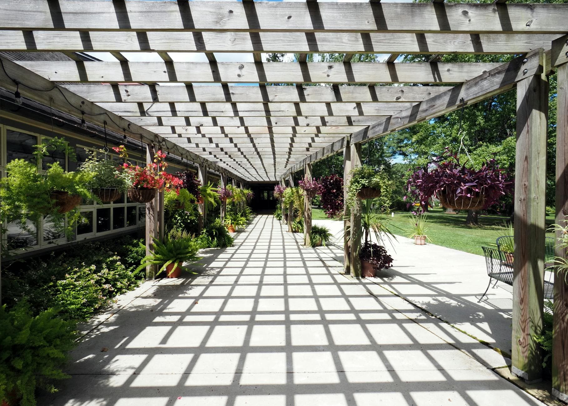 Pergola, tonnelle