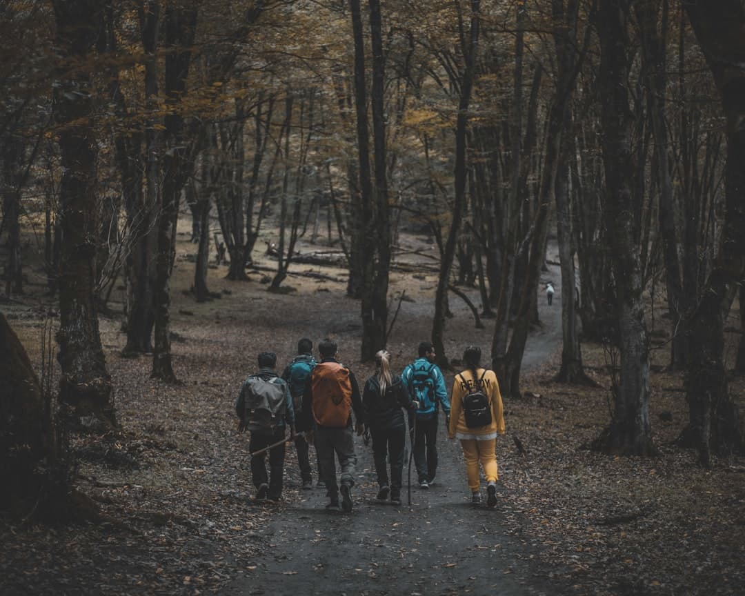 Voyage de groupe